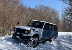 せいじさん-PZJ77-秘密のりんどう