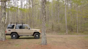 バナナ-78プラド-五光牧場