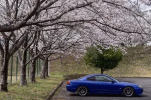 ぱる-シルビア-栃木県栃木市